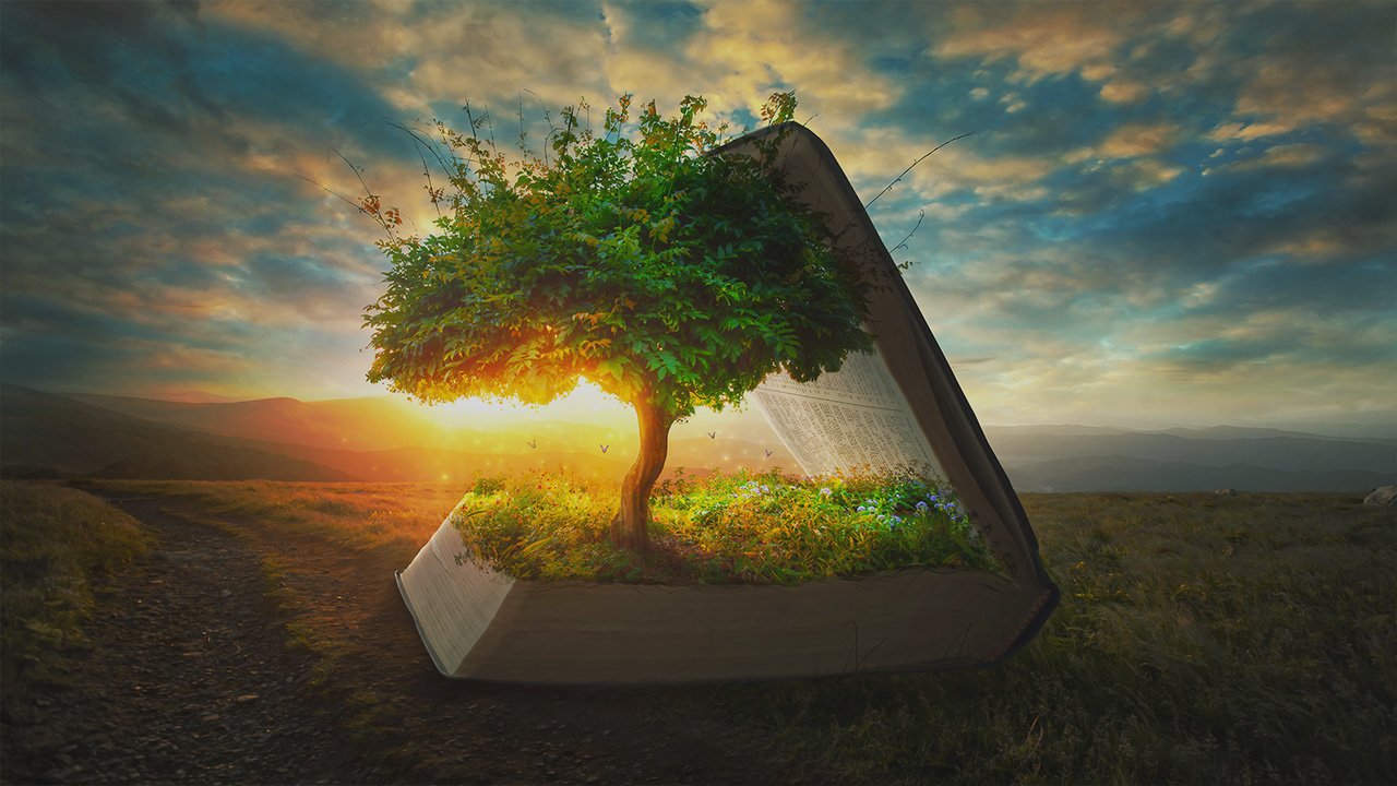 grow spiritually 4