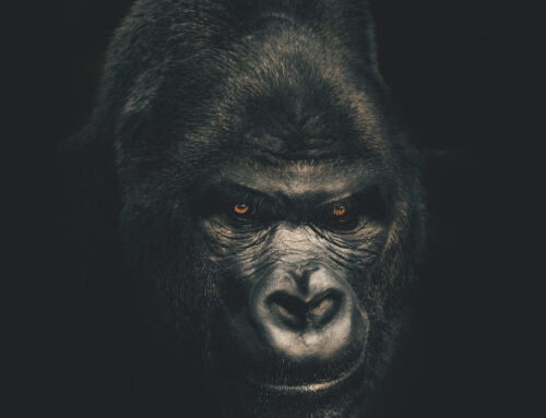 Is It Okay for a Christian to Be Angry? (Ephesians 4:26–27)