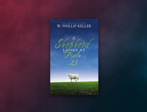 October 2025 Book Giveaway